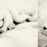 LIVIA6